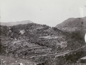 Terraced hillside