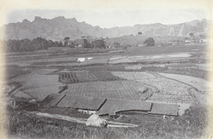 Peling Tea District, Xingcun