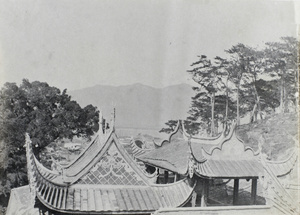 Ornate roofs