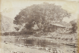 Stepping stone bridge, Bamboo Creek, Yuen Foo River