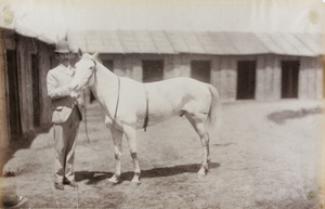 'Hard Times', a racehorse