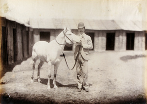 The racehorse 'Hard Times'