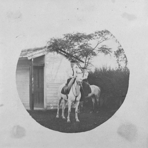 Women riding side-saddle