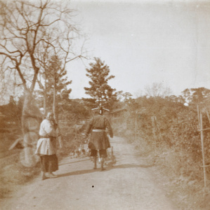 Shooing ducks along a road