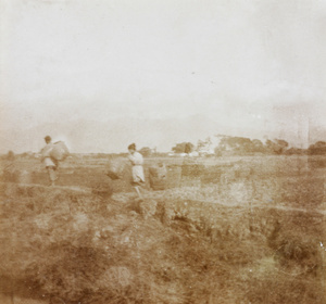 Women carrying baskets of rice