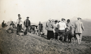 Bearers for a picnic