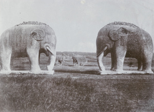 Stone elephants and camels, Spirit Way (南京), Xiao Ling Mausoleum (孝陵), near Nanjing (南京市)