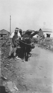 Carter and ox-cart transporting long beams