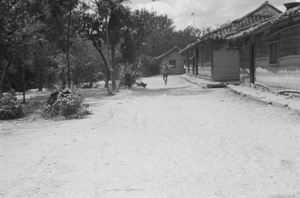 People and chicken in village street