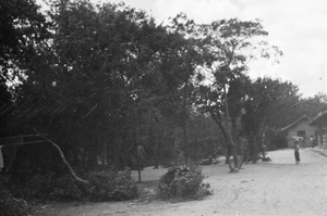 Children in dirt road by uprooted tree