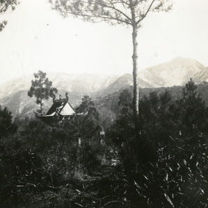 Pavilion in a forest