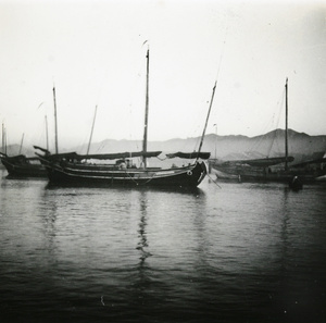 Boats in a harbour