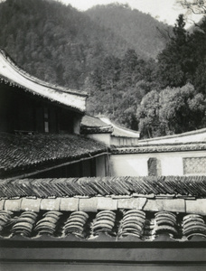 Roof tiles and roof tops