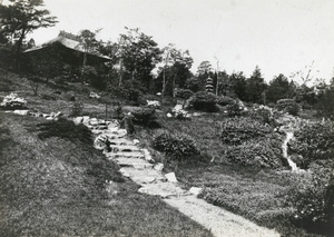 A garden on a slope