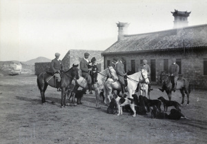 Horses and pack of hounds, 1903