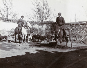 Horses and pack of hounds, 1902