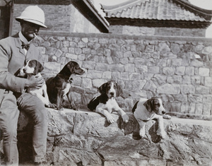 Captain W.H. Dent with foxhound puppies, 1st Chinese Regiment, Weihaiwei