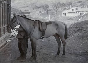 Chinese man with a horse called 'Tuctoo'
