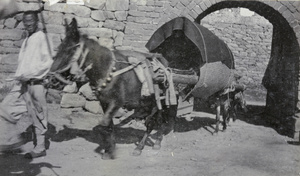 Sedan carried by horses, by city walls