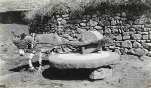 Mill with blindfolded donkey