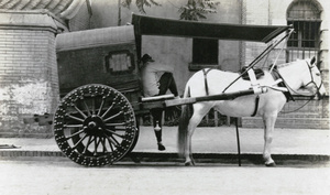Peking cart with white horse