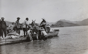 Donkey going aboard a ferry boat