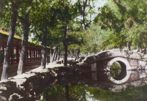 Pine trees and stone bridge, Summer Palace, Beijing