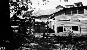 Backyard in Bangkok, Thailand