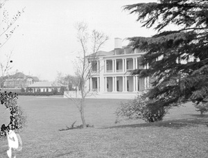 'Hazelwood',  Shanghai