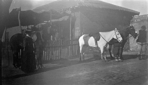 Miss R. T. and ponies, Newchwang