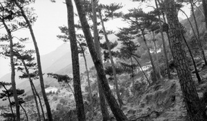 En route to Yongquan Monastery (涌泉寺 Kushan Monastery), Drum Mountain, Fuzhou (福州)