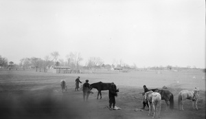 Horses and grooms, British Legation Lodge (Ta Tau Tze), Beijing