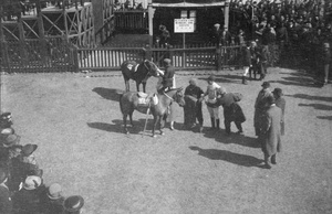 Racehorses and jockeys, Kiangwan, Shanghai