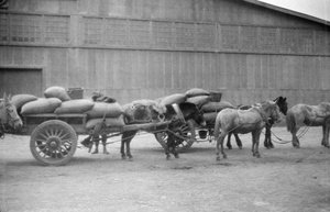 Wagons, Dalny