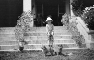 A child with Chow-Chow (鬆獅犬) dogs, 'Hazelwood', Shanghai, 1924-1925