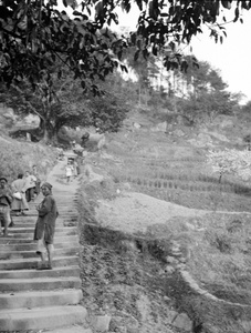 Steps, Chungking