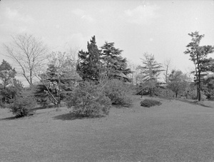 Garden at 'Hazelwood', Shanghai