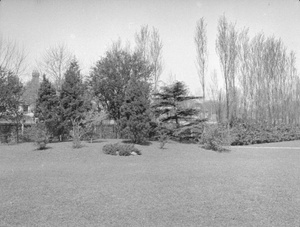 Garden at 'Hazelwood', Shanghai