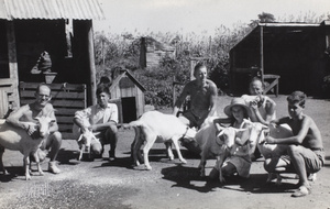 Farm staff with milch goats, the 'farm', Lunghua Civilian Assembly Centre, Shanghai