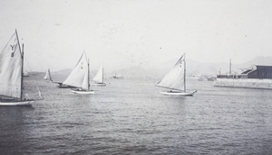 Sailing dingies in the harbour, Hong Kong