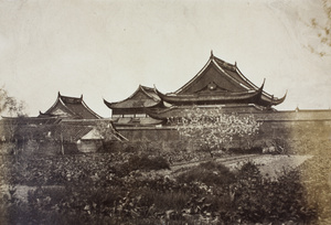 A vegetable and fruit garden beside the Temple of Confucius (上海文庙), Shanghai (上海)