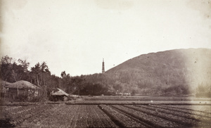 The Pagoda Hill, Shanghai