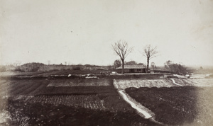 View near Yakee-tung (Soochow Creek), near Shanghai