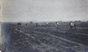 A party touring on donkeys near Peking