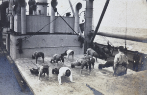 Press ups, on board a ship