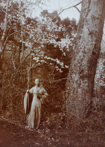 Monk and magnolia blossom, Jiaoshan (焦山 'Silver Island'), Zhenjiang (鎮江)