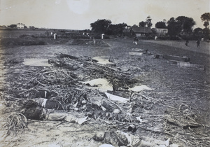 Corpses laid out in a field after a battle