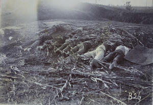 Corpses laid out in a field after a battle